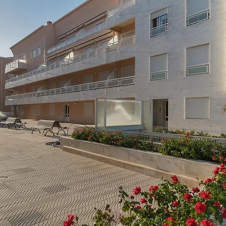 Akisol Vila Real Star Ii *